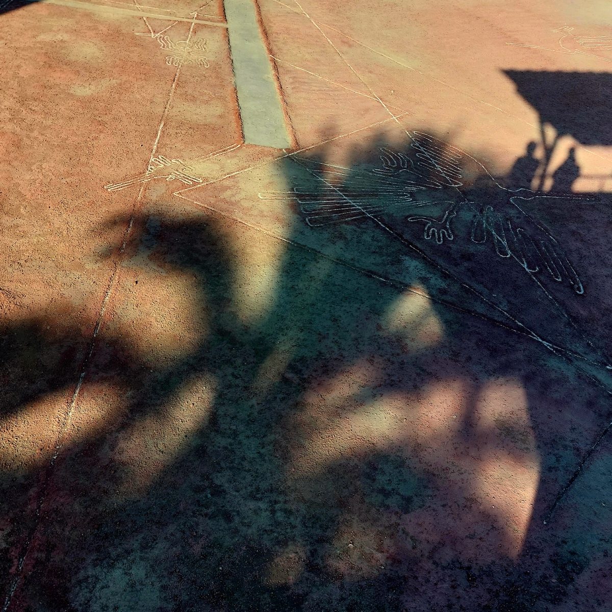 20250601_155028