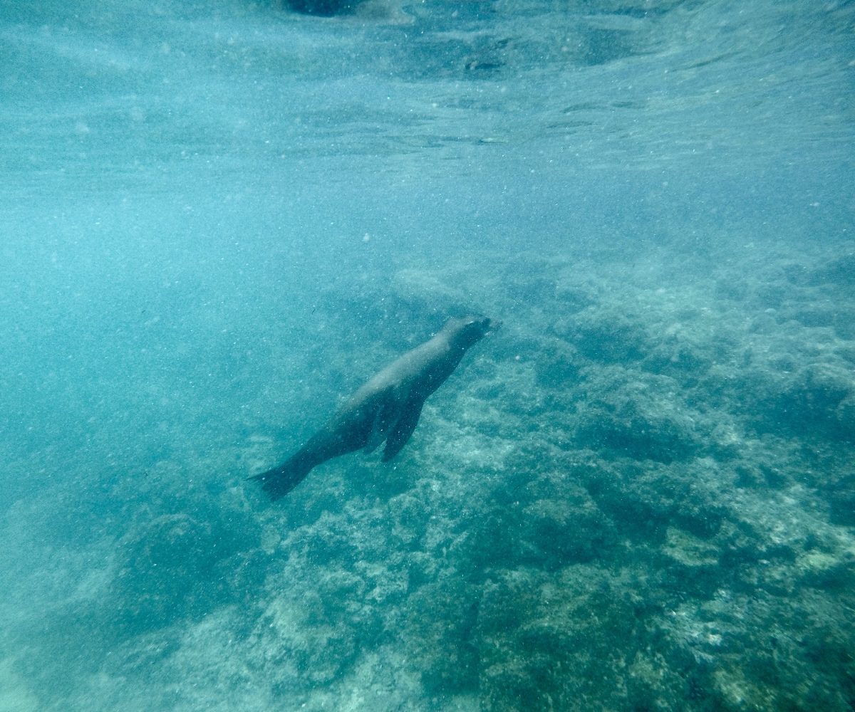 DCIM100GOPROGOPR0925.JPG