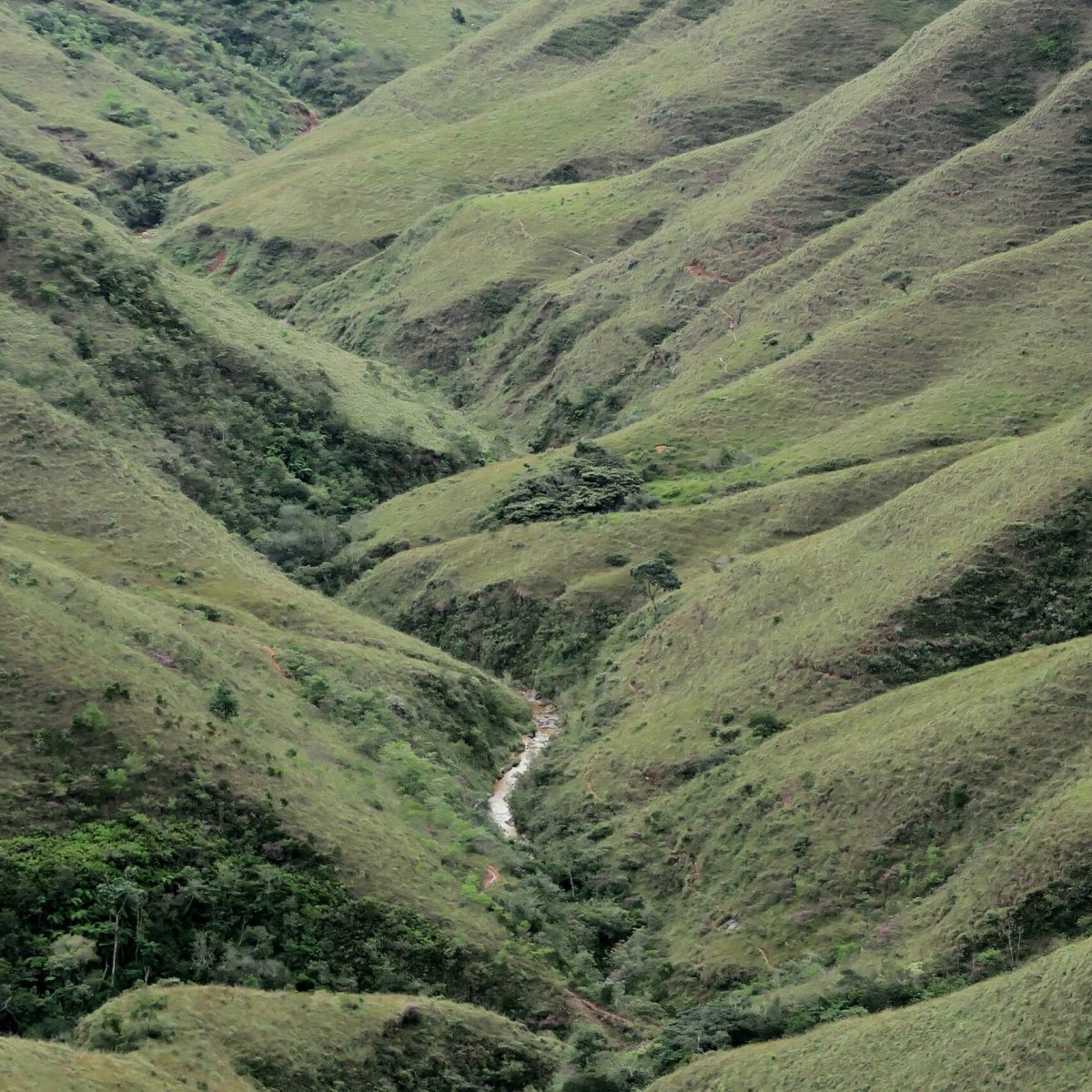 IMG_4626