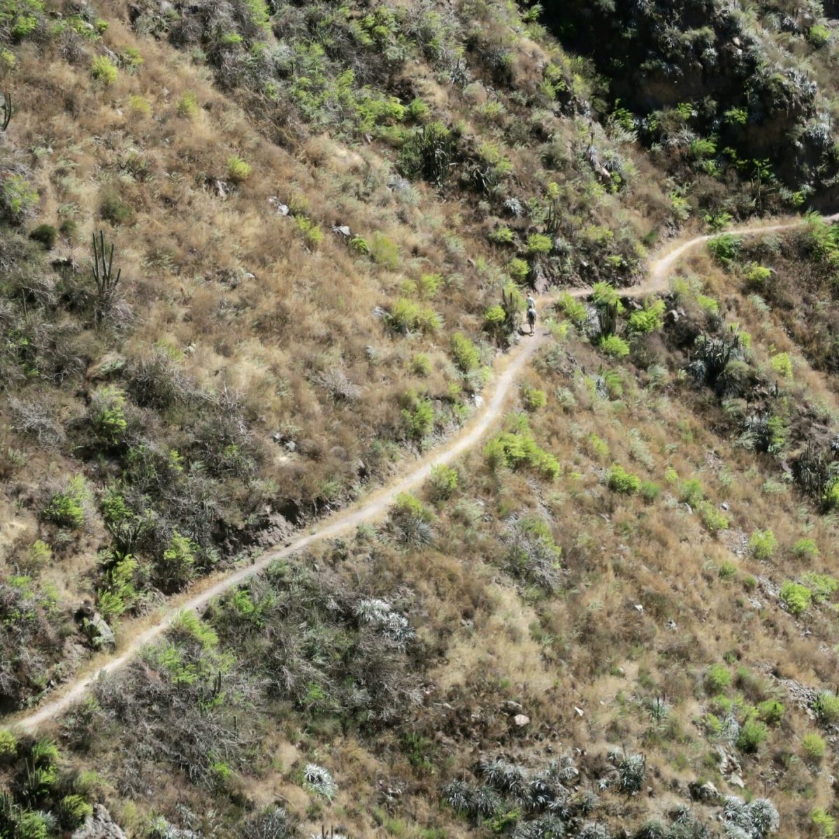 IMG_5551