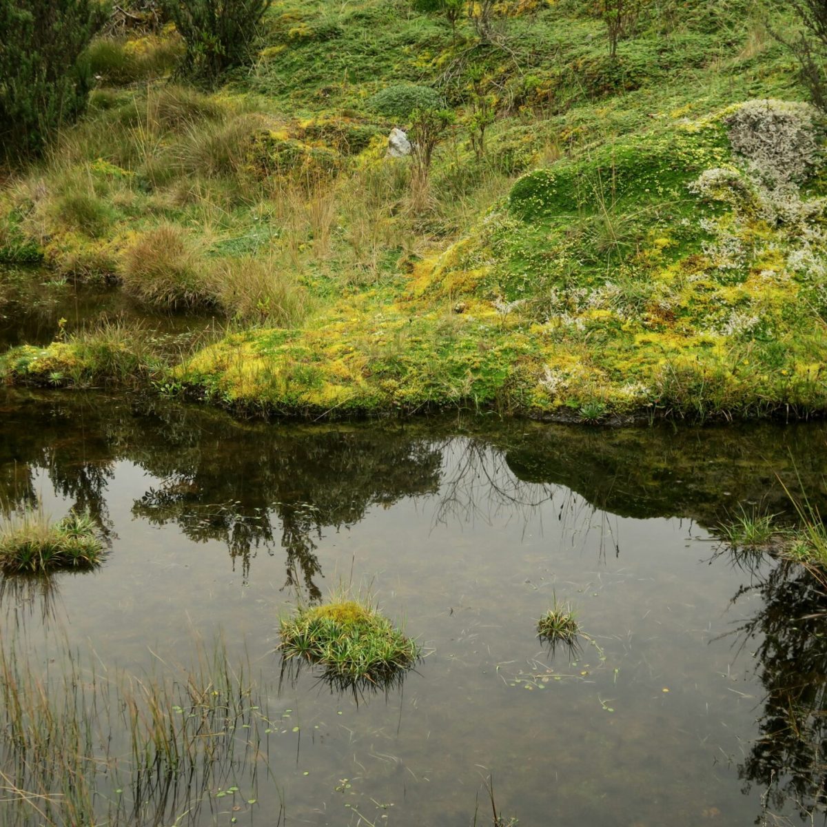 IMG_6183